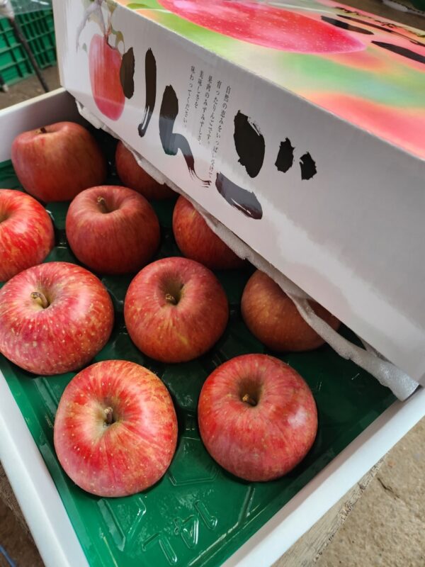 【Amazing Apple】サンふじ贈答品5kg‐11月下旬～順次発送‐ - 画像 (7)